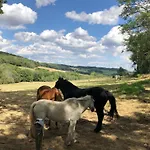 Ferme De La Dhuys * Rochefontaine