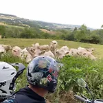 Inn Ferme De La Dhuys
