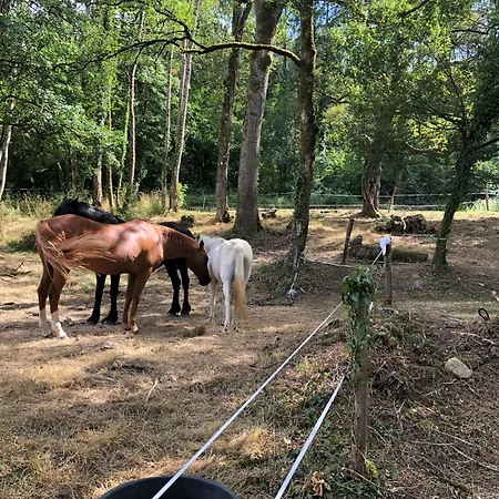 Gasthof Ferme De La Dhuys *