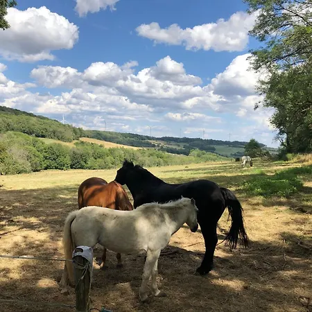 Ferme De La Dhuys * Rochefontaine