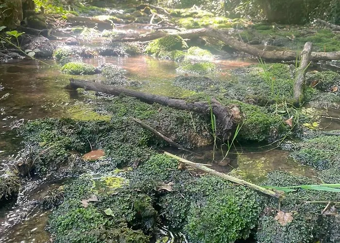 Gasthof Ferme De La Dhuys